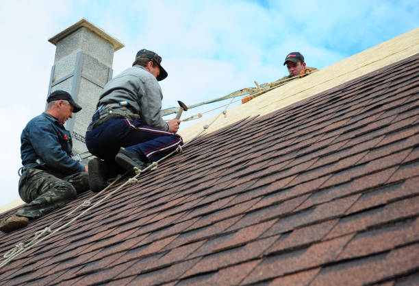 Professional Roofing Contractor in Upland, PA